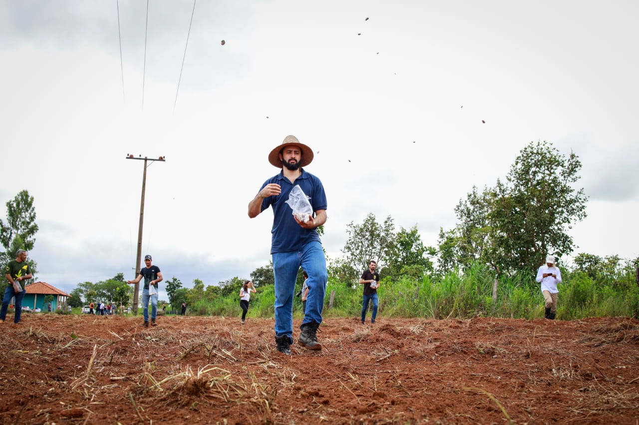 Agricultores familiares plantam sementes no assentamento Caetés: ação pelo reflorestamento (Foto: Agroícone/divulgação)