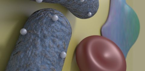 Nanopartícula desenvolvida no : ao ser injetada na corrente sanguínea, ela é capaz de carrear antibiótico diretamente até bactérias (Foto: Reprodução)