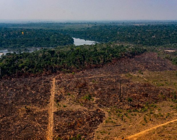 Áreas fragmentadas de vegetação nativa crescem 260% em 38 anos, aponta MapBiomas