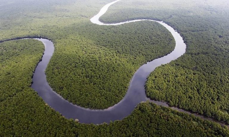 A Apa de Guapi-Mirim, no Rio de Janeiro, é uma das que está acéfala desde o dia 12 por conta da falta de diálogo do governo com os servidores. Foto Custódio Coimbra