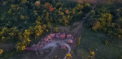 Área desmatada ilegalmente por madeireiros no Pará: estado teve o maior número de pontos de desmatamento e a maior área desmatada em 2019 (Foto: Ronan Frias/Semas-PA/Fotos Públicas)