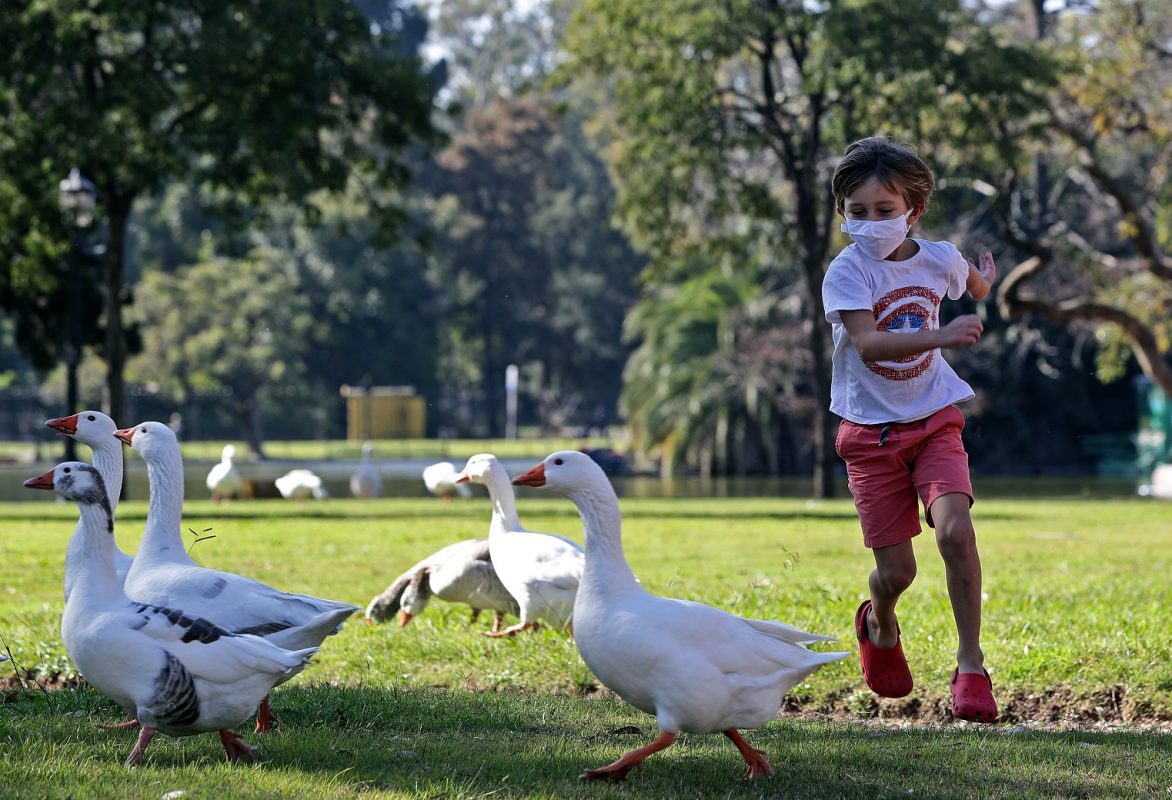Um menino corre atrás de gansos em um parque de Buenos Aires depois que as autoridades permitiram que as crianças saíssem por uma hora para fins recreativos, de acordo com o número de identificação dos pais. Foto Alejandro Pagni/AFP
