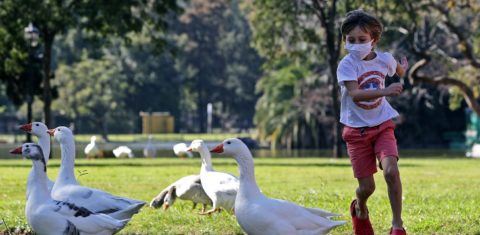 Um menino corre atrás de gansos em um parque de Buenos Aires depois que as autoridades permitiram que as crianças saíssem por uma hora para fins recreativos, de acordo com o número de identificação dos pais. Foto Alejandro Pagni/AFP