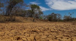 Ricupero: “Fracassamos no enfrentamento às mudanças climáticas”