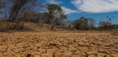 Clima: solo seco na Reserva indígena Xakriabá
