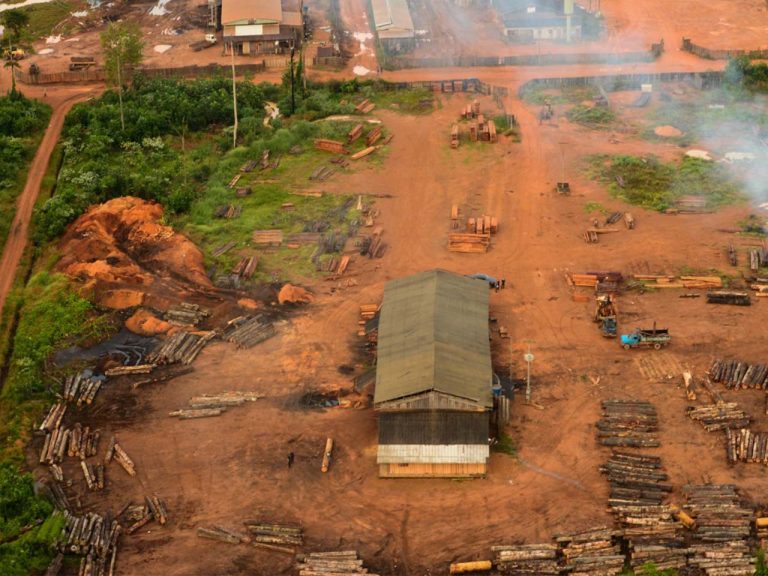 Acampamento (real) de madeireiros ilegais em área desmatada: plataforma Fakebook vai combater fake news ambientais (Foto: Centro de Comunicação do Exército)