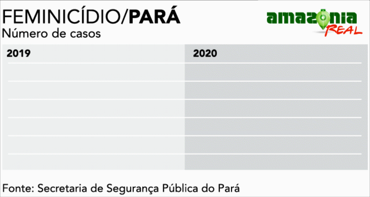 Feminicídio em alta no Pará: 26 casos em quatro meses (Infografia: Fernando Alvarus)