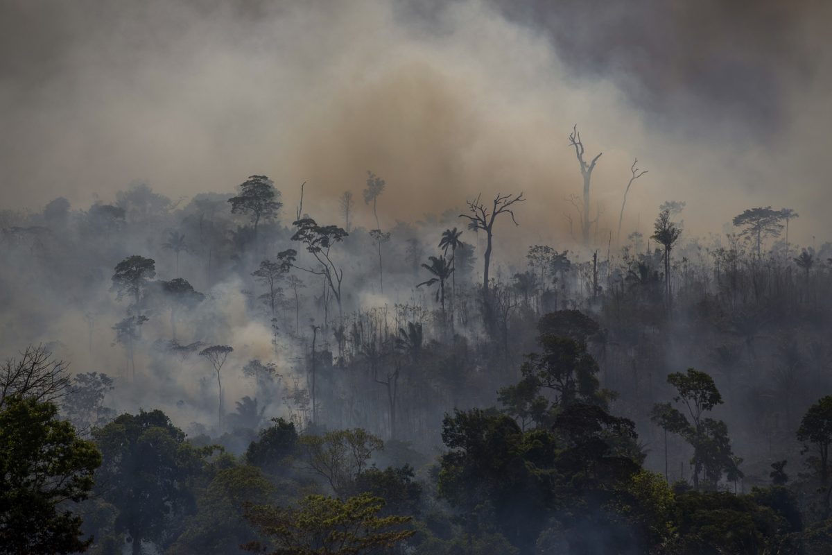 Fumaça sobe de incêndios florestais em Altamira, no Pará. A imagem é de agosto de 2019, mas os recordes de desmatamento seguem sendo batidos há 14 meses. Foto João Laet/AFP