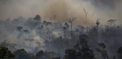 Fumaça sobe de incêndios florestais em Altamira, no Pará. A imagem é de agosto de 2019, mas os recordes de desmatamento seguem sendo batidos há 14 meses. Foto João Laet/AFP