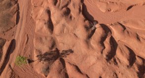 E o homem criou um deserto no Cerrado