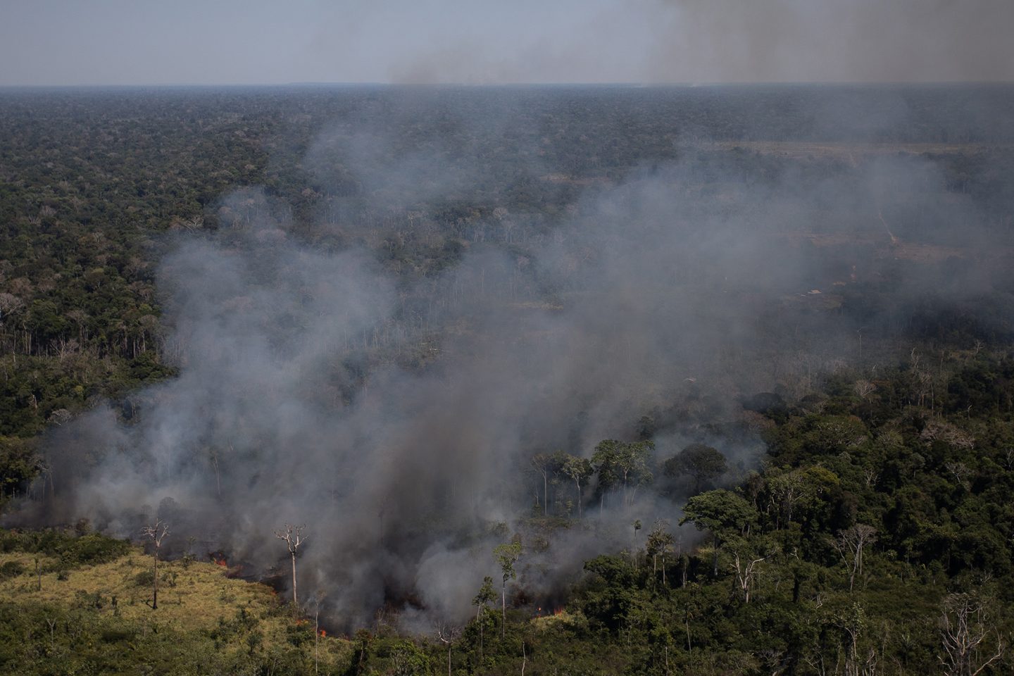 Área em chamas nos limites da Floresta Nacional do Jacundá, em Rondônia: coordenador de monitoramento do Inpe alerta que temporada de queimadas está só começando (Foto: Bruno Kelly/Amazônia Real)