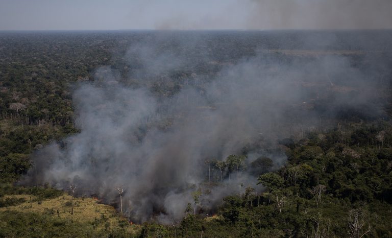 Área em chamas nos limites da Floresta Nacional do Jacundá, em Rondônia: coordenador de monitoramento do Inpe alerta que temporada de queimadas está só começando (Foto: Bruno Kelly/Amazônia Real)
