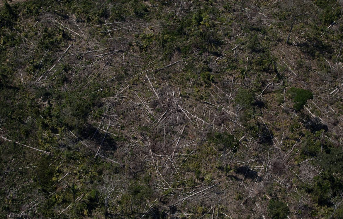 Área de desmatamento próxima à Floresta Nacional do Jacundá, em Rondônia: ação de militares vista com reservas por ambientalistas (Foto Bruno Kelly/Amazônia Real)