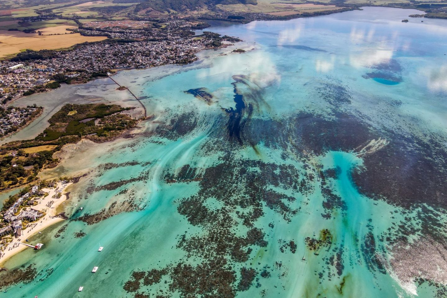 Mancha de óleo sobre os recifes na costa das Ilhas Maurício: ameaça à diversidade no Oceano Pacífico (Foto: AFP)