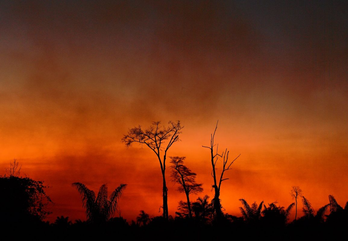 Fumaça de queimada sobre o céu da Amazônia: Nasa aponta que 54% dos focos de incêndio são frutos de desmatamento (Foto: Carl de Souza/AFP)