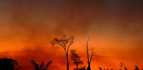 Emissões de carbono: fumaça de queimada sobre o céu da Amazônia: Nasa aponta que 54% dos focos de incêndio são frutos de desmatamento, um vilão do clima (Foto: Carl de Souza/AFP)