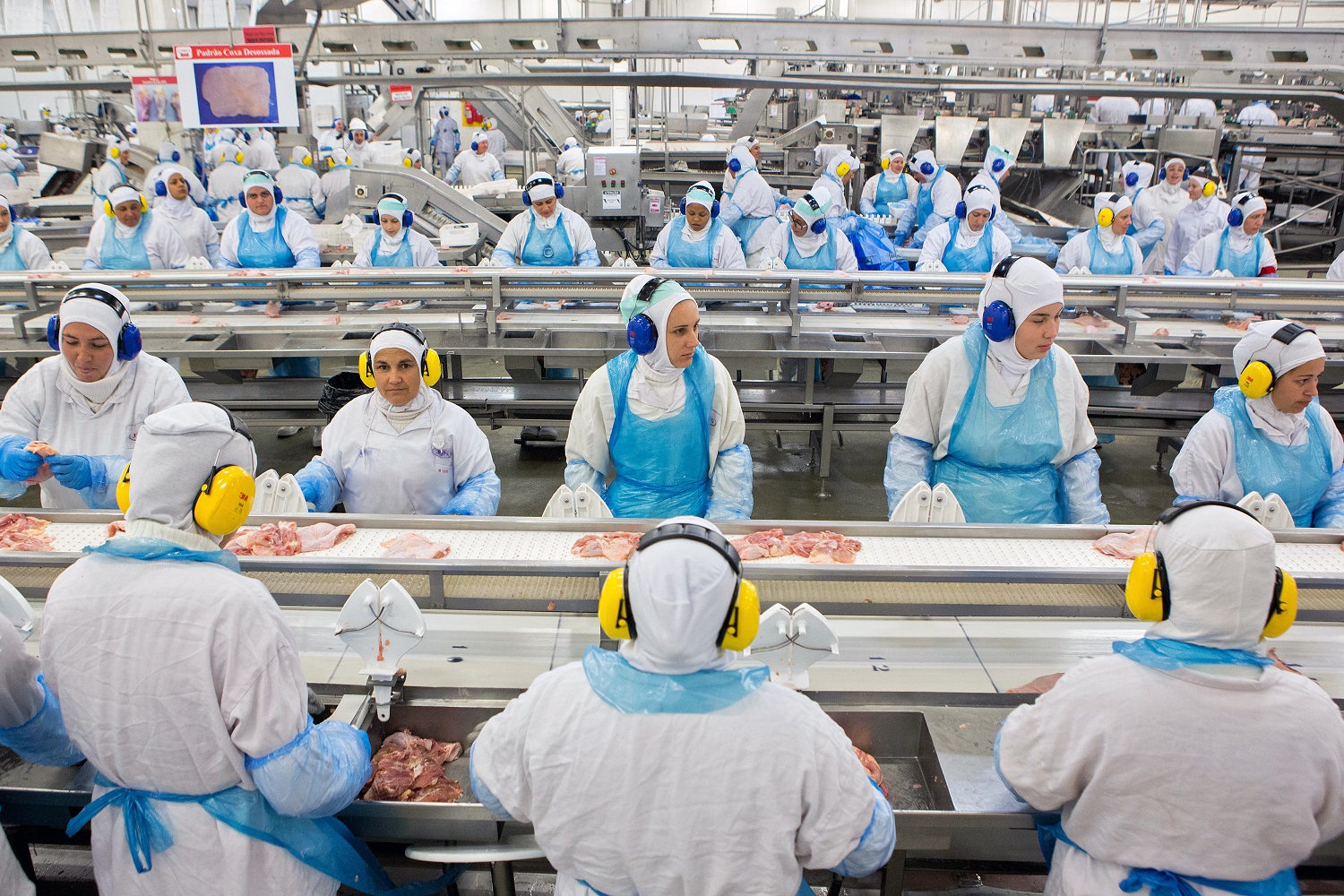 Na cidade de Lapa, no Paraná, a linha de produção de frango da JBS-Friboi. Foto Rodrigo Fonseca/AFP