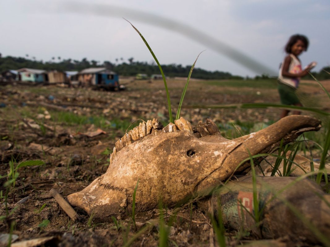 Criança e carcaça de animal na seca brasileira: aquecimento do planeta e os danos ao ambiente deixam as crianças diante de um futuro incerto (Foto: Raphael Alves/AFP)