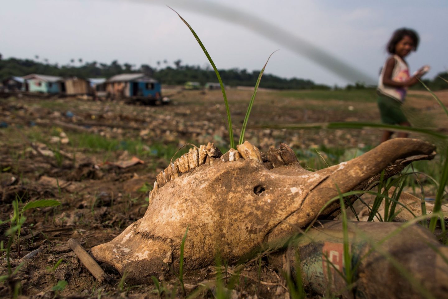 Criança e carcaça de animal na seca brasileira: aquecimento do planeta e os danos ao ambiente deixam as crianças diante de um futuro incerto (Foto: Raphael Alves/AFP)
