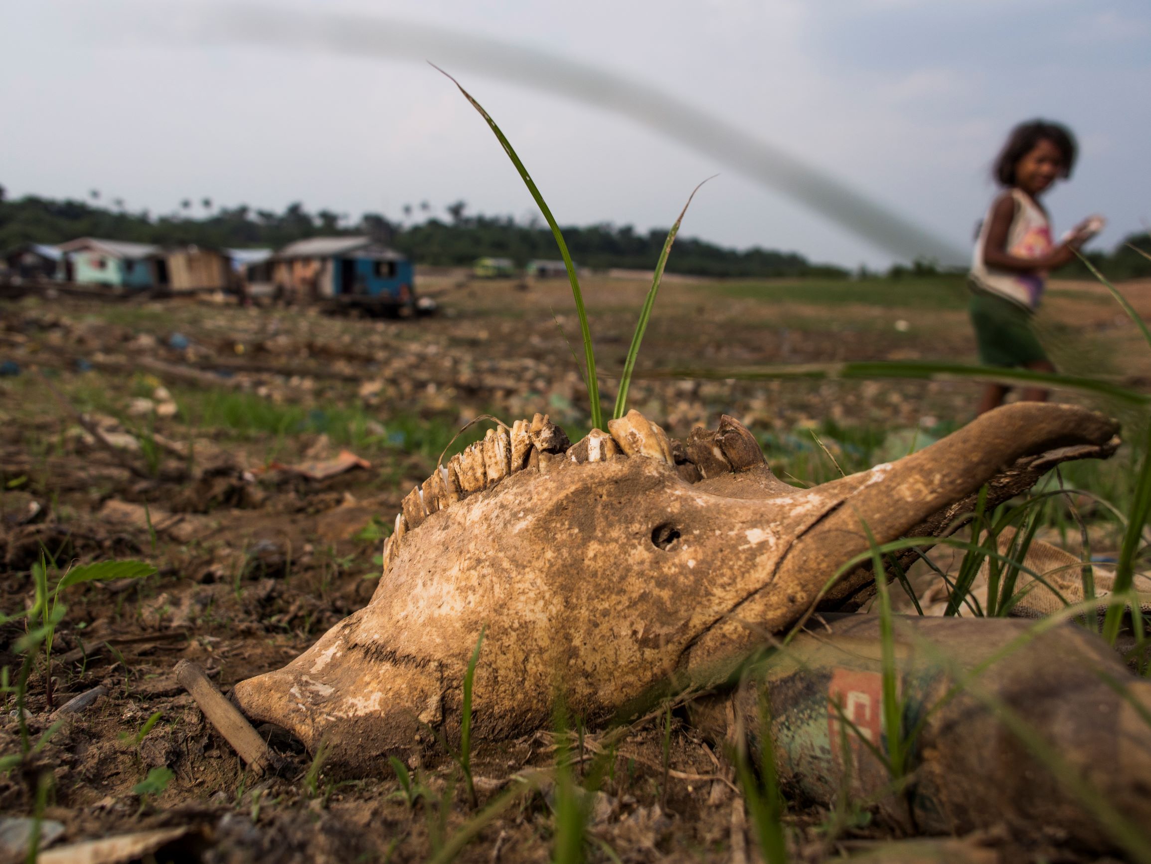 Meninas de 10 anos: Emergências Climáticas