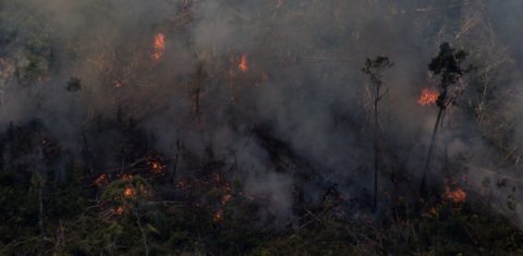 Floresta Amazônica em chamas em Rondônia: queimadas de agosto mostram fracasso de operação militar (Foto: Bruno Kelly/Amazônia Real)