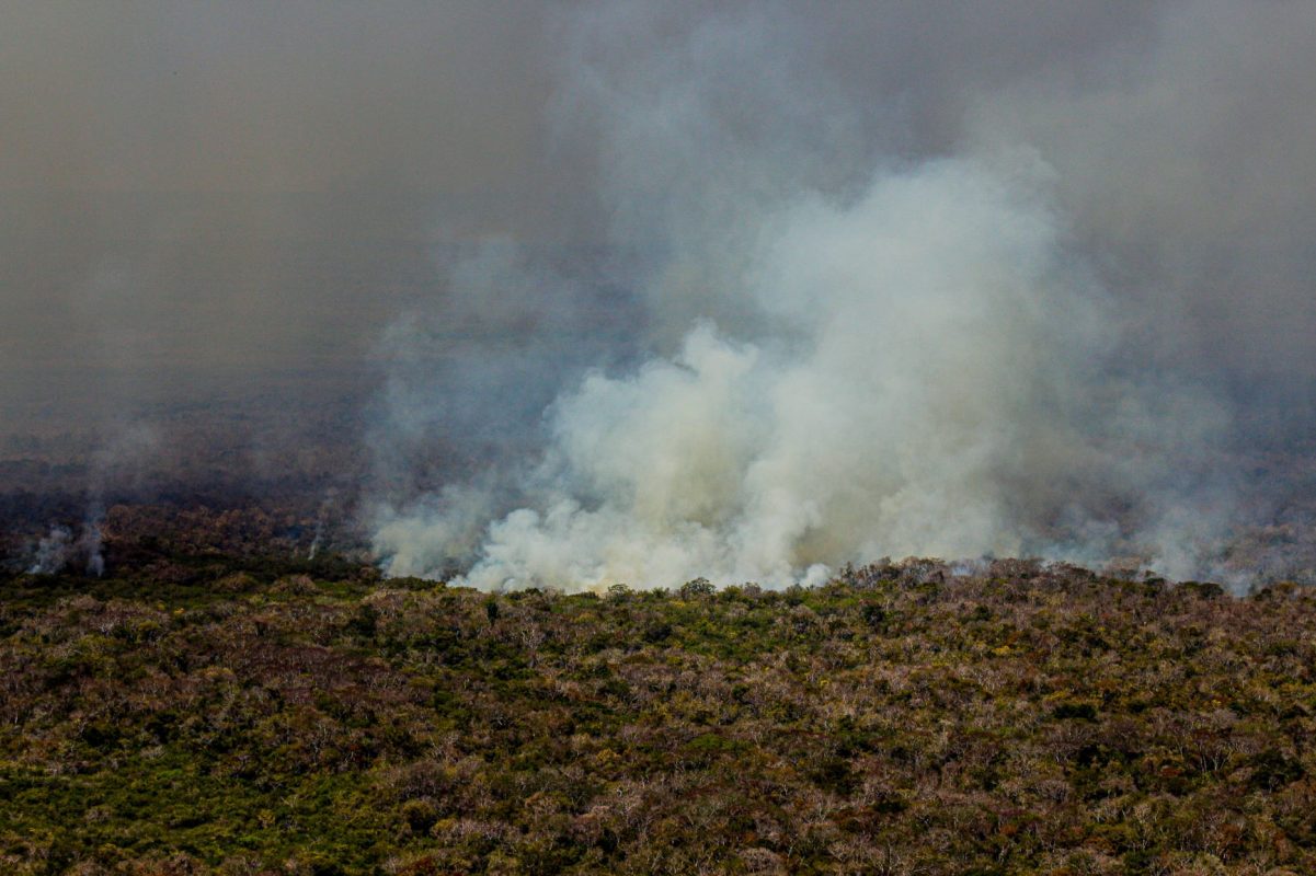 Área em chamas em Mato Grosso: 46 territórios indígenas estão com focos de queimadas (Foto: Mayke Toscano/Secom-MT)