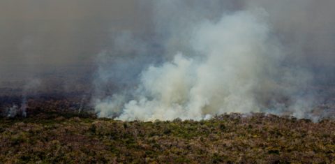 Área em chamas em Mato Grosso: 46 territórios indígenas estão com focos de queimadas (Foto: Mayke Toscano/Secom-MT)