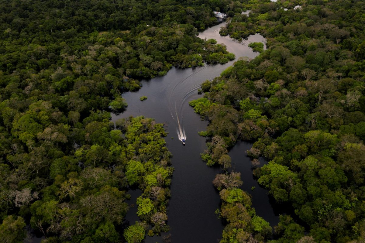A preservação da Amazônia é um dos focos do ativismo empresarial: executivos têm se reunido com autoridades (Foto: Florence Goisnard/AFP)