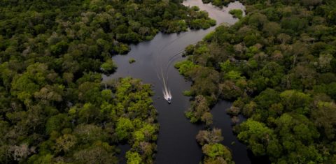 A preservação da Amazônia é um dos focos do ativismo empresarial: executivos têm se reunido com autoridades (Foto: Florence Goisnard/AFP)