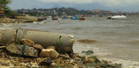 Diariamente, cerca de 100 toneladas de lixo e esgoto são lançadas na Baía de Guanabara. Foto Léo Lima/Casa Fluminense