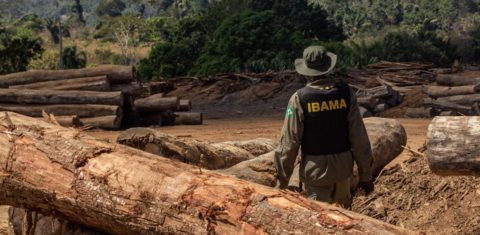 Operação de fiscalização do Ibama em 2018: documento de coalização com representantes do agronegócio e de ONGs ambientais propõe retomada de operações e outras cinco ações urgentes para reduzir desmatamento (Foto: Fernando Augusto/Ibama)