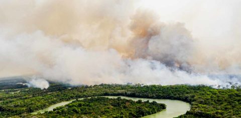 Pantanal em chamas , em agosto de 2020, com seca histórica: em Mato Grosso, incêndios atingiram 40% do bioma (Foto: Mayke Toscano/Secom-MT)