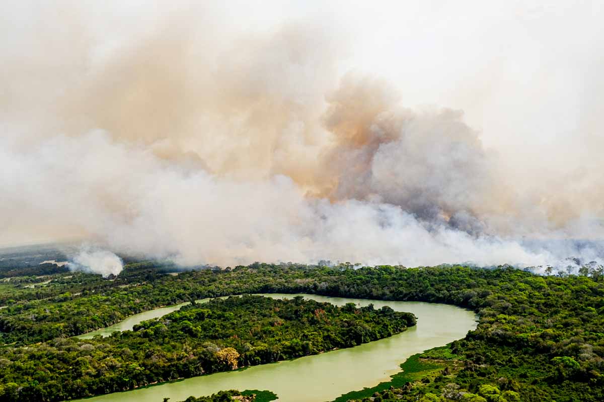 Pantanal em chamas com seca histórica: perda da vegetação nativa no bioma mais do triplicou desde 1990 quando novela foi gravada (Foto: Mayke Toscano/Secom-MT)