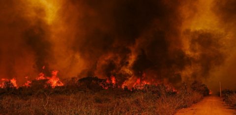 Incêndio próximo à Rodovia Transpantaneira: pesquisadores preveem mais duas semanas críticas de fogo no Pantanal (Foto: Mayke Toscano/Secom-MT)