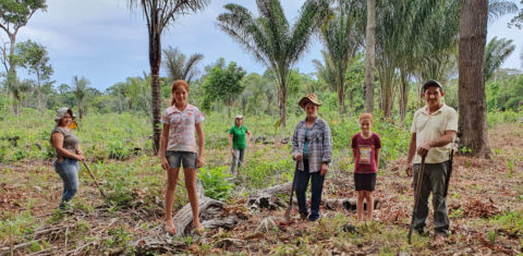 Família Soares, do município de Juruti, Pará, aderiu à restauração florestal. Foto WRI/ Divulgação