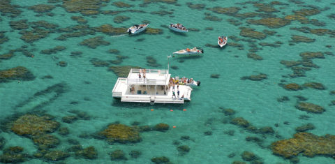 Recifes de corais - parrachos de Maracajú - no litoral do Rio Grande do Norte: cenário turístico ameaçado pelo aquecimento dos oceanos (Foto: Divulgação)