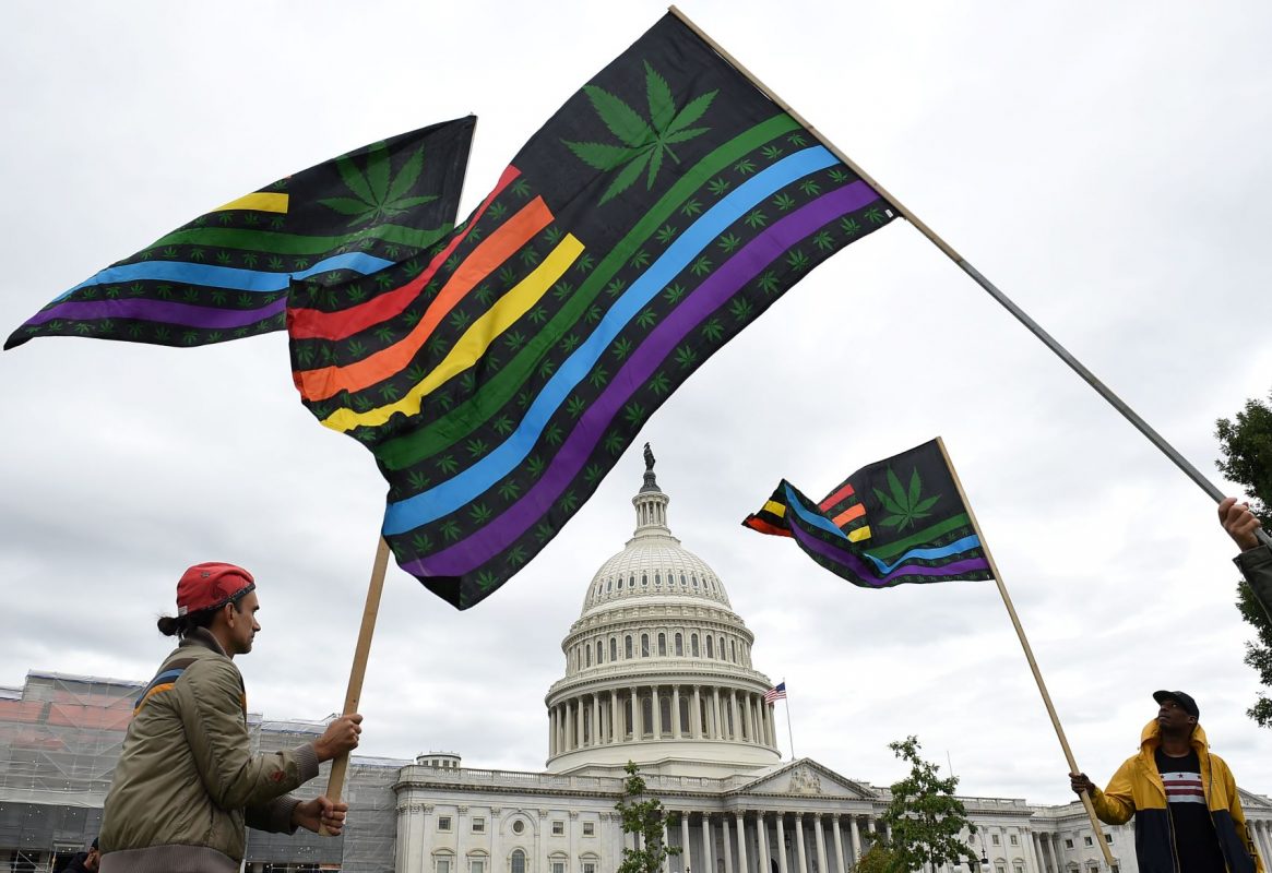 Manifestação pela legalização da maconha em frente ao Congresso dos EUA em 2019: nas eleições de terça-feira, mais quatro estados aprovaram uso recreativo (Foto: Olivier Douliery/AFP)