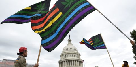 Manifestação pela legalização da maconha em frente ao Congresso dos EUA em 2019: nas eleições de terça-feira, mais quatro estados aprovaram uso recreativo (Foto: Olivier Douliery/AFP)