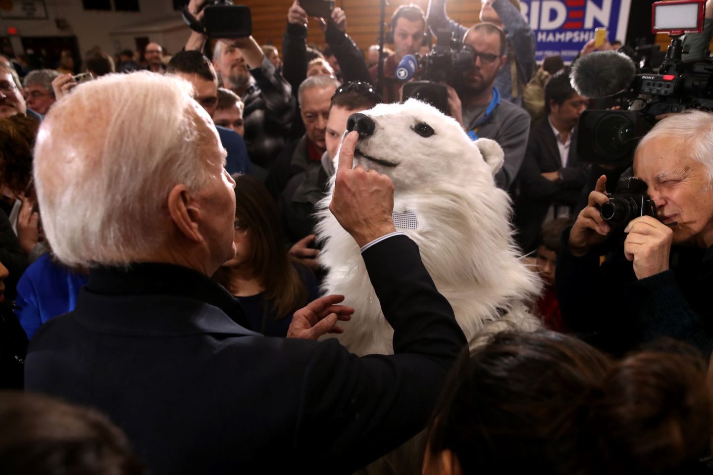 Joe Biden com ativista ambiental fantasiado de urso polar ainda nas primárias: democrata garante retorno dos EUA ao Acordo de Paris caso seja eleito (Foto: Justin Sullivan/AFP)