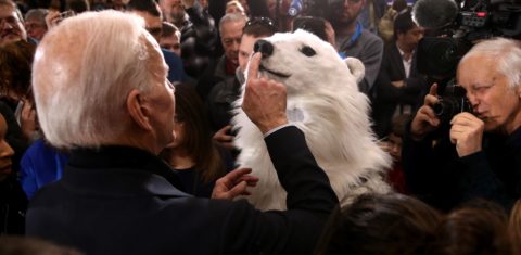 Joe Biden com ativista ambiental fantasiado de urso polar ainda nas primárias: democrata garante retorno dos EUA ao Acordo de Paris caso seja eleito (Foto: Justin Sullivan/AFP)