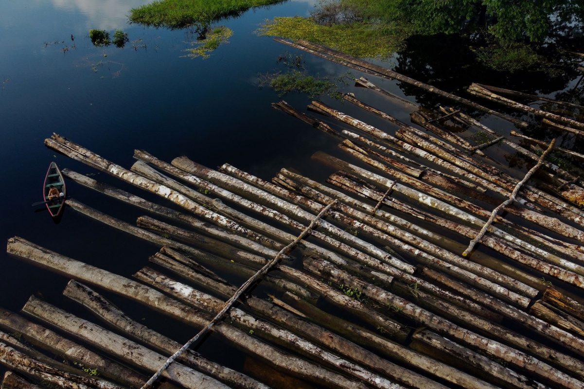 Toras de árvores apreendidas pela PM do Amazonas em operação contra madeireiros ilegais no no Rio Manacapuru em julho: maior taxa de desmatamento em 12 anos na Amazônia (Foto: Ricardo Oliveira / AFP)