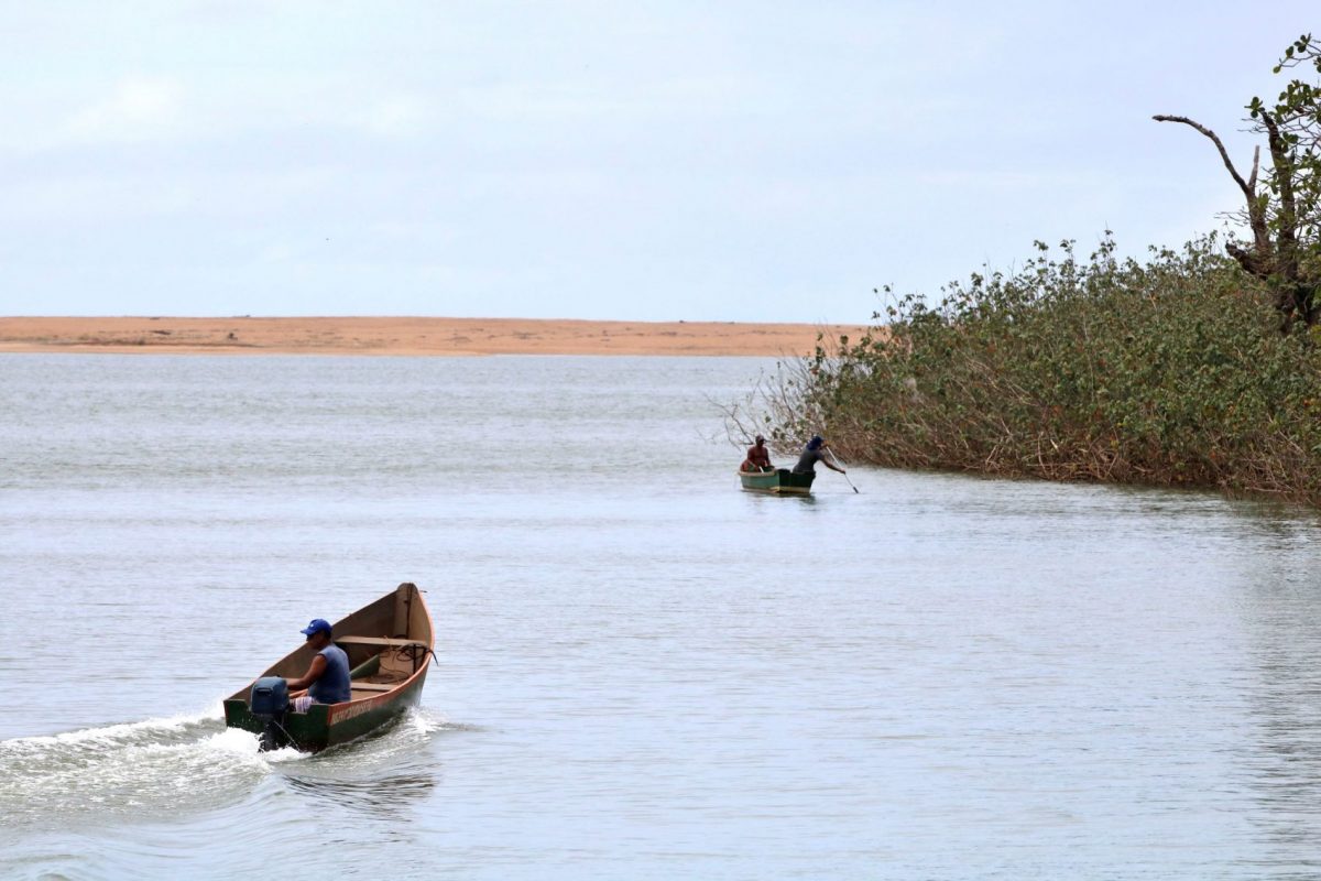 Barcos na foz do Rio Doce em novembro: contaminação crônica por metais resultante da lama de rejeitos da barragem da mineradora da Samarco (Foto: Tânia Rego/Agência Brasil)