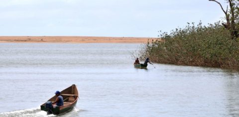 Barcos na foz do Rio Doce em novembro: contaminação crônica por metais resultante da lama de rejeitos da barragem da mineradora da Samarco (Foto: Tânia Rego/Agência Brasil)