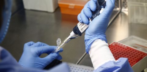 Empresas investigadas por superfaturamento na venda de luvas e outros produtos hospitalares deixam rastro de denúncias de irregularidades em municípios fluminenses (Foto: Divulgação SES/RJ)