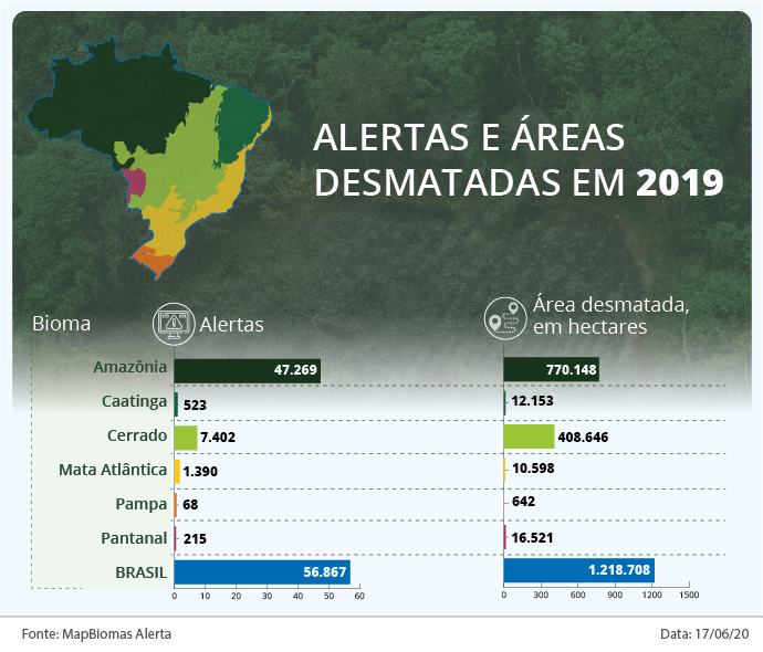 O avanço do desmatamento no Brasil em 2019 (Arte: MapBiomas)