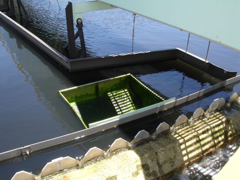 Estação de Tratamento de Esgoto do Onça, que distribui água para 1 milhão de habitantes da Região Metropolitana de Belo Horizonte: pesquisa da UFMG detectou o vírus em 100% das amostras coletadas no sistema de esgotamento sanitário (Foto: Divulgação/Copasa)