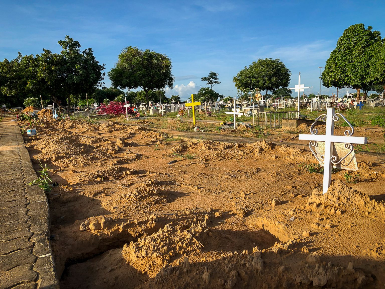 Túmulos sem identificação de dois bebês indígenas em Boa Vista: jornalista fez buscas por três dias no cemitério particular da capital de Roraima (Foto: Emily Costa/Amazônia Real)
