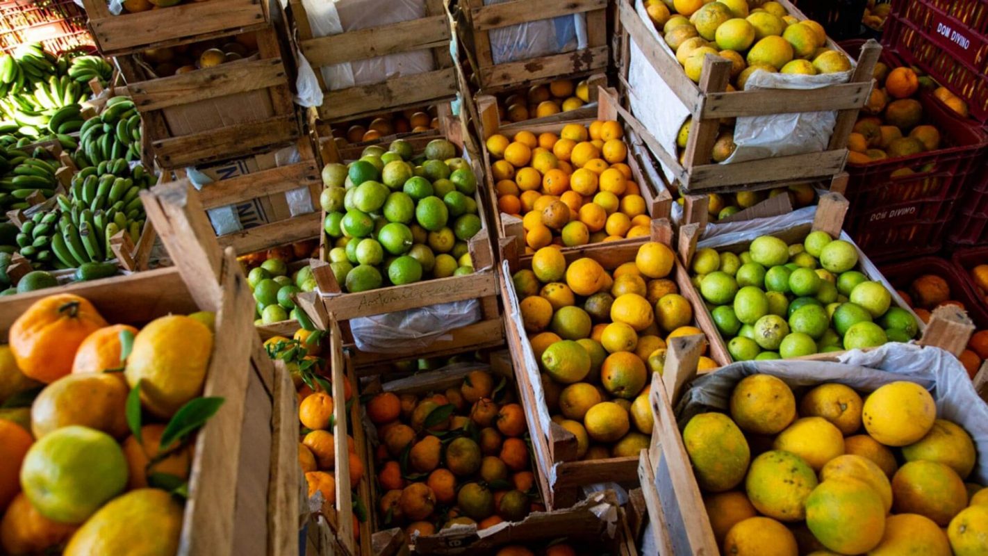 Frutas cultivadas por agricultores familiares na região da Zona da Mata de Minas Gerais: o Centro de Tecnologias Alternativas (CTA-ZM) distribuiu mais de 22 toneladas de alimentos (Foto: Rodrigo Carvalho/ Divulgação CTA-ZM)