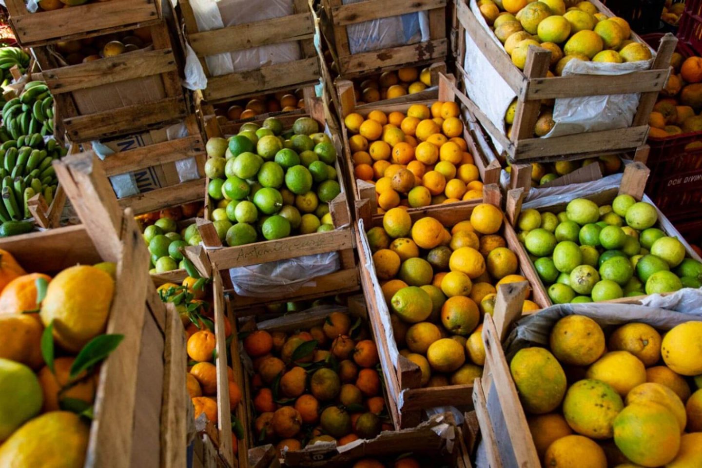 Frutas cultivadas por agricultores familiares na região da Zona da Mata de Minas Gerais: o Centro de Tecnologias Alternativas (CTA-ZM) distribuiu mais de 22 toneladas de alimentos (Foto: Rodrigo Carvalho/ Divulgação CTA-ZM)