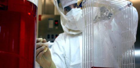 Pesquisa no laboratório da UFSC: fármacos com base em plantas comestíveis para bloquear enzima do coronavírus (Foto: UFSC/Divulgação)